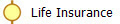 Life Insurance