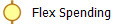 Flex Spending