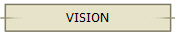 VISION