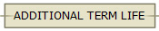 ADDITIONAL TERM LIFE